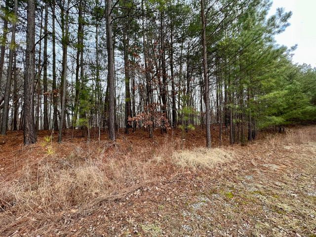 0 North Chase DR, Goodview, VA 24095