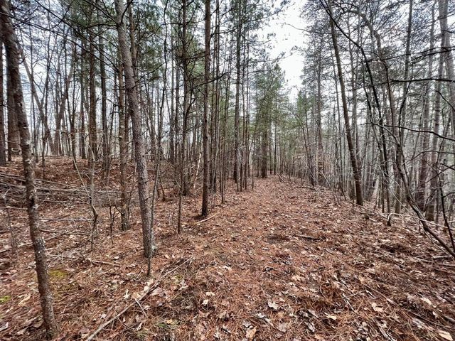 0 North Chase DR, Goodview, VA 24095