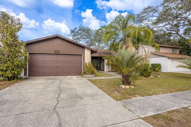 14841 OAK VINE DRIVE, Lutz, FL 33559