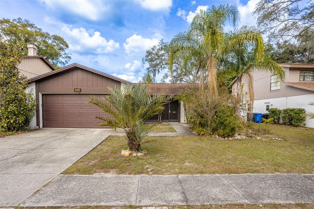 14841 OAK VINE DRIVE, Lutz, FL 33559