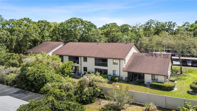 3600 MAGNOLIA RIDGE CIRCLE 1221, Palm Harbor, FL 34684