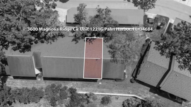 3600 MAGNOLIA RIDGE CIRCLE 1221, Palm Harbor, FL 34684