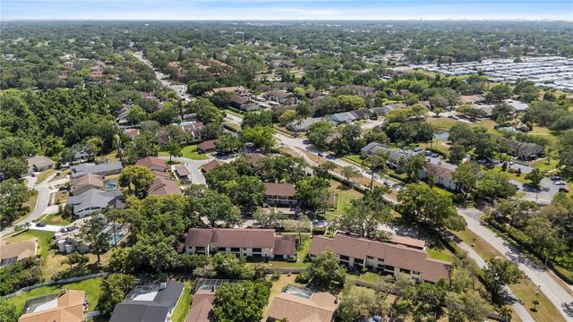 3600 MAGNOLIA RIDGE CIRCLE 1221, Palm Harbor, FL 34684