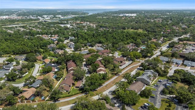 3600 MAGNOLIA RIDGE CIRCLE 1221, Palm Harbor, FL 34684