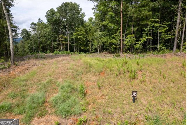 LOT 315 Pebble Trace 315, Talking Rock, GA 30175