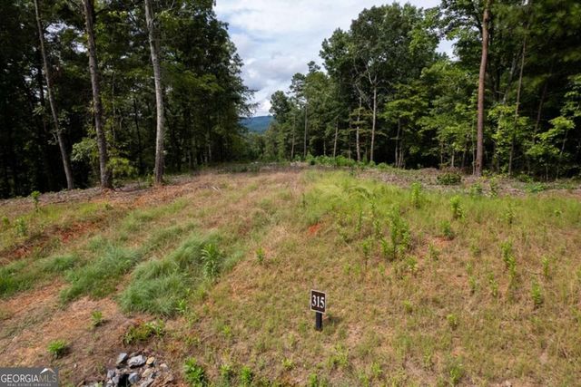 LOT 315 Pebble Trace 315, Talking Rock, GA 30175