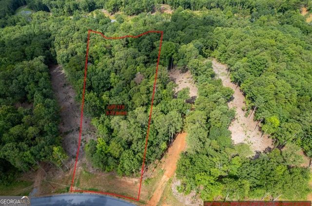 LOT 315 Pebble Trace 315, Talking Rock, GA 30175