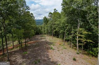 LOT 315 Pebble Trace 315, Talking Rock, GA 30175