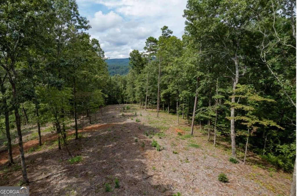 LOT 315 Pebble Trace 315, Talking Rock, GA 30175