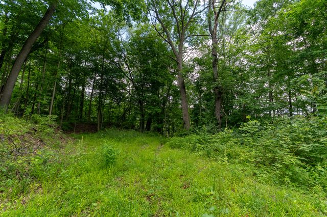 50.75 Weiser Road, Niles Twp, MI 49120