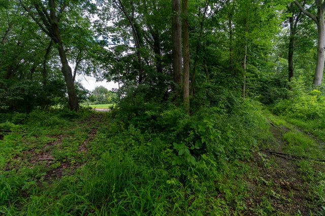 50.75 Weiser Road, Niles Twp, MI 49120
