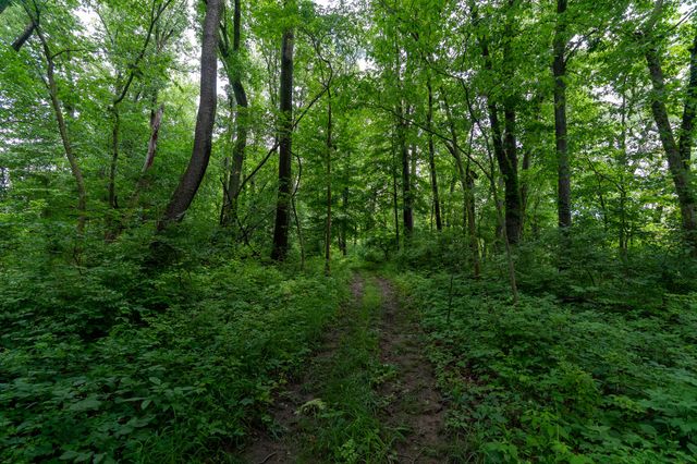 50.75 Weiser Road, Niles Twp, MI 49120