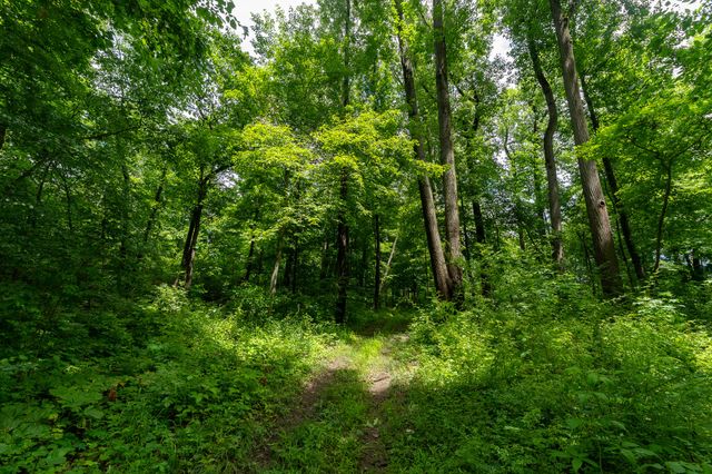 50.75 Weiser Road, Niles Twp, MI 49120