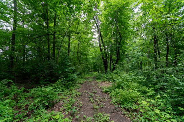 50.75 Weiser Road, Niles Twp, MI 49120