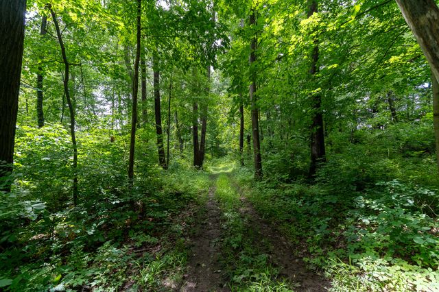 50.75 Weiser Road, Niles Twp, MI 49120