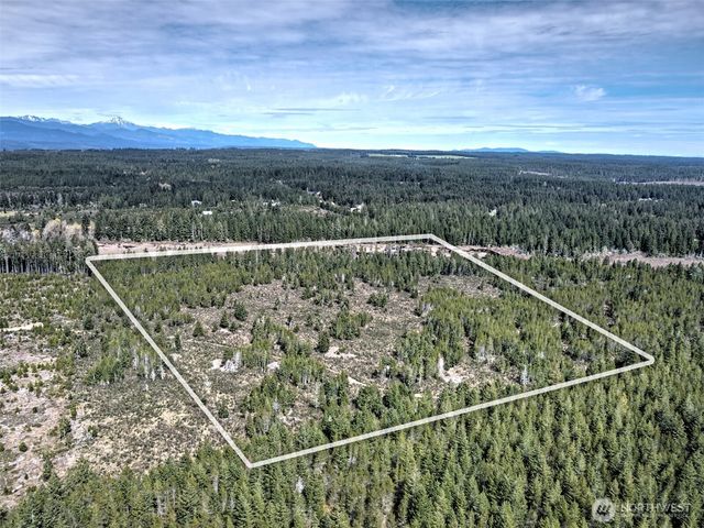 0 xxx E Melissa Lane, Shelton, WA 98584