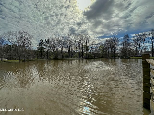 111 Bellemeade Trace, Clinton, MS 39056