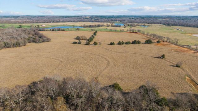 TBD County Road 477, Lindale, TX 75771