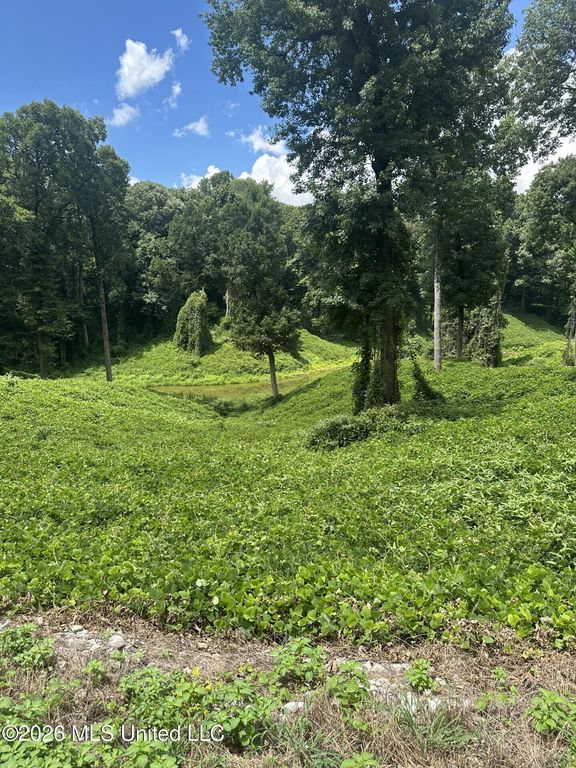 0 Woodland Lake Drive, Hernando, MS 38632 — photo 2