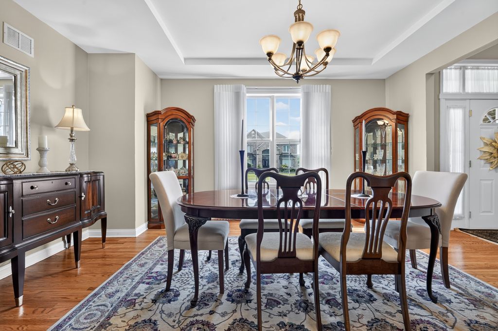 24800 Barolo Drive, Plainfield, IL 60586 — photo 5