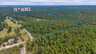 79 Acres Bucking Up Road, Laurel Hill, FL 32567