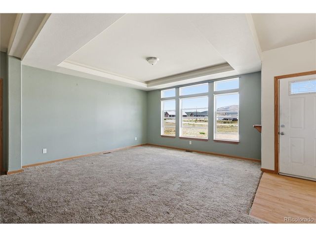 1309 Meadow Dr, Fairplay, CO 80440