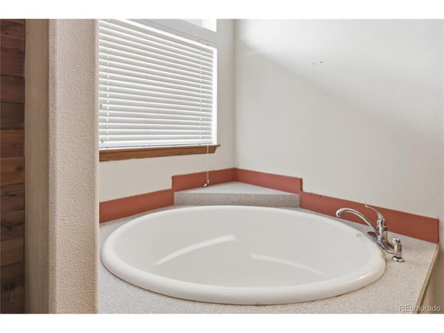 1309 Meadow Dr, Fairplay, CO 80440