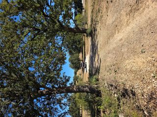 2055 CR 481 Tract 1, Thrall, TX 76578