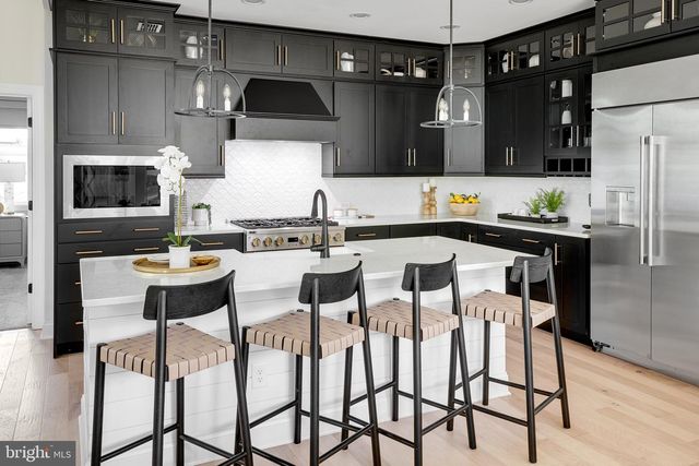 19841 LIGHTSHIP COVE DR, Milton, DE 19968