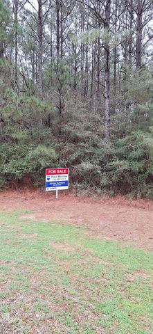26600 Maverick Ln Lane, Waller, TX 77484