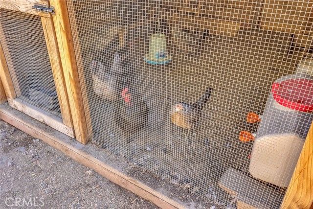 54055 Strawberry Valley Drive, Idyllwild, CA 92549