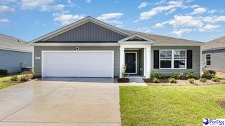 1015 Garden Sprout Drive (Aria B Lot 321), Galivants Ferry, SC 29544