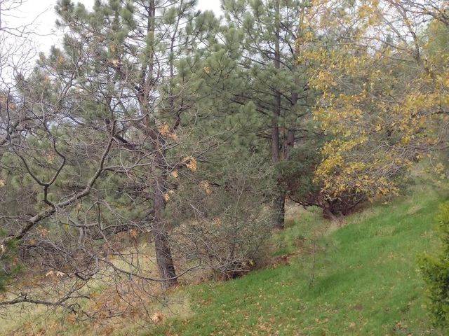 2380 Cape Horn Ave, Julian, CA 92036