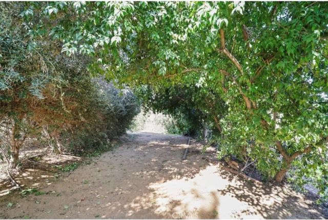 1804 Valle Vista, Redlands, CA 92373