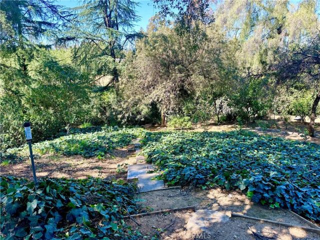 1804 Valle Vista, Redlands, CA 92373