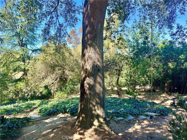 1804 Valle Vista, Redlands, CA 92373