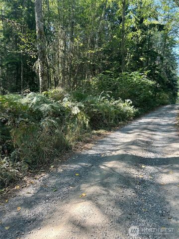 0 xxx Forest View Lane, Greenbank, WA 98253