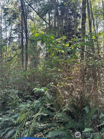 0 xxx Forest View Lane, Greenbank, WA 98253