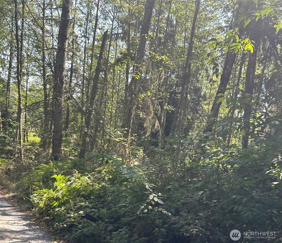 0 xxx Forest View Lane, Greenbank, WA 98253