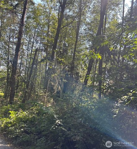 0 xxx Forest View Lane, Greenbank, WA 98253