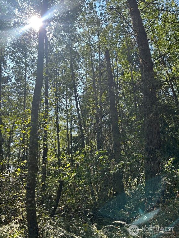 0 xxx Forest View Lane, Greenbank, WA 98253