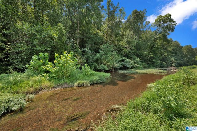 6539 SPRING STREET, Trussville, AL 35173