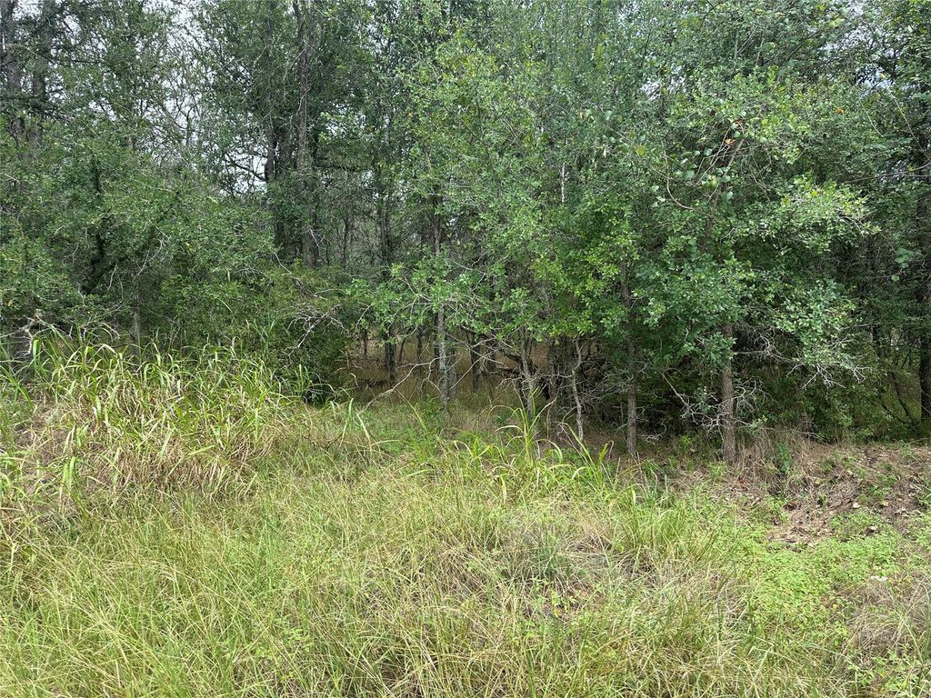 109 Halawa CT, Bastrop, TX 78602