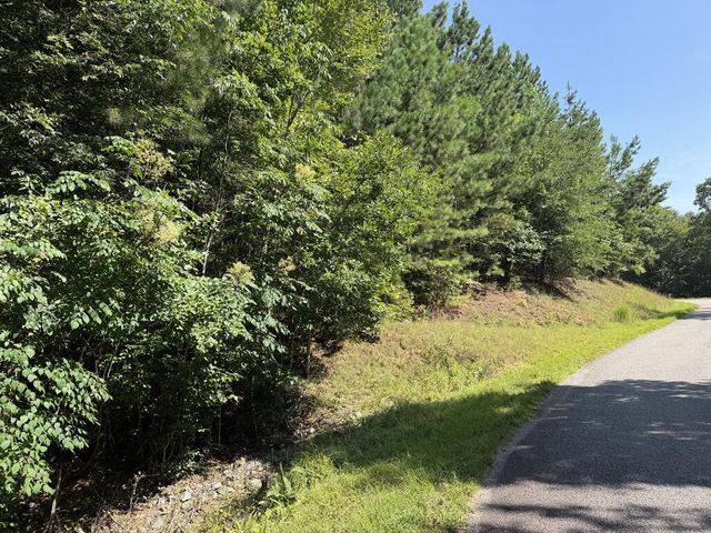 Lot 25 The Hills At Queens Gap, Blairsville, GA 30512