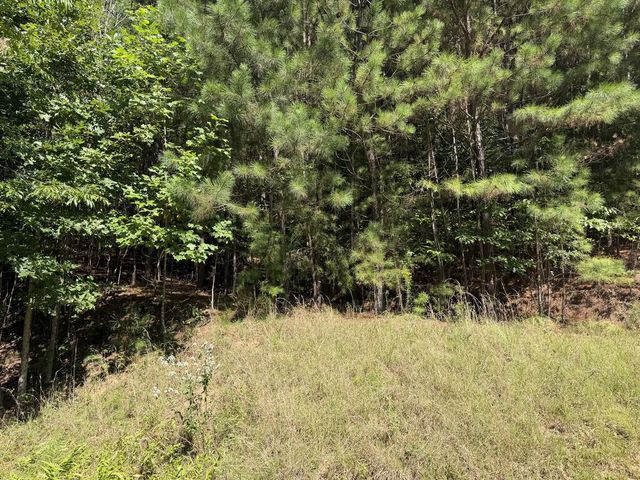 Lot 25 The Hills At Queens Gap, Blairsville, GA 30512
