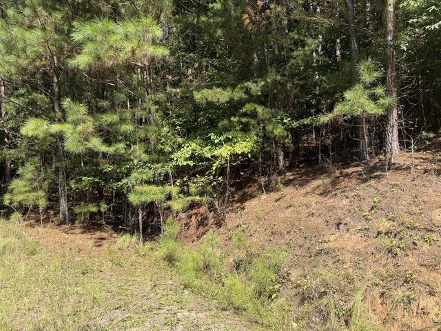 Lot 25 The Hills At Queens Gap, Blairsville, GA 30512