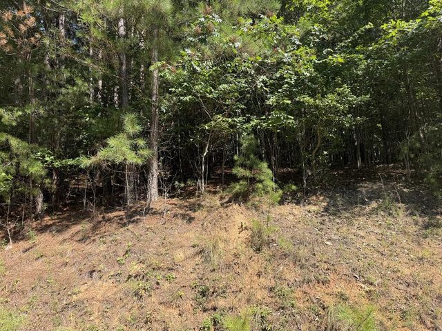 Lot 25 The Hills At Queens Gap, Blairsville, GA 30512