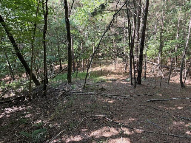Lot 25 The Hills At Queens Gap, Blairsville, GA 30512