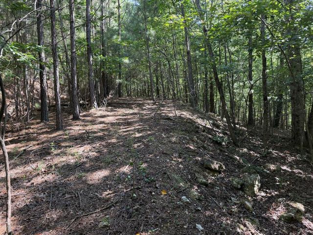 Lot 25 The Hills At Queens Gap, Blairsville, GA 30512
