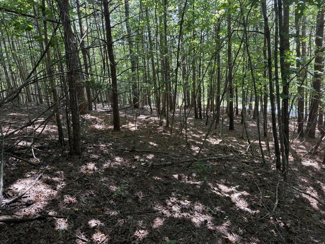 Lot 25 The Hills At Queens Gap, Blairsville, GA 30512